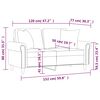 vidaXL Canap&eacute; 2 places oreillers et coussins Rose 120 cm Velours