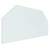 vidaXL Plaque de verre pour chemin&eacute;e hexagonale 100x50 cm