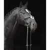 Covalliero Bridon Cancun pour poney Noir