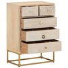 vidaXL Commode 55x30x76 cm bois massif de manguier et fer