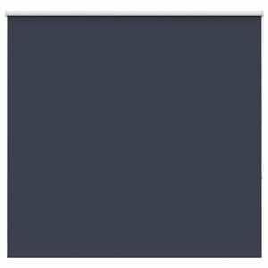 vidaXL Store enrouleur occultant largeur du tissu 161,6 cm polyester