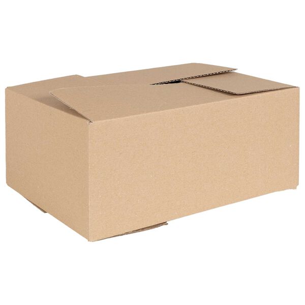 vidaXL Bo&icirc;te Pliable 50 pcs Naturel 35 x 24 x 15 cm Carton
