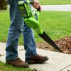 Greenworks Aspirateur de pelouse &agrave; main 40 V Vert