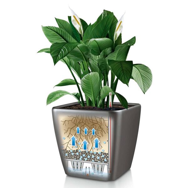 LECHUZA Jardini&egrave;re QUADRO LS 28 ALL-IN-ONE charbon 16143