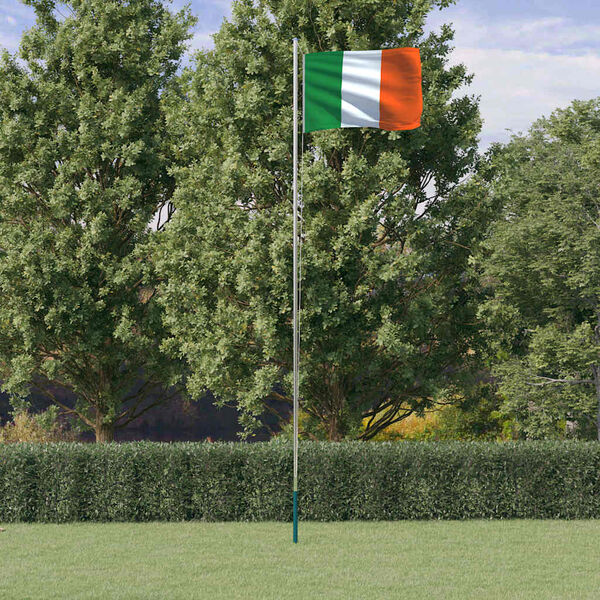 vidaXL Drapeau de l'Irlande et m&acirc;t 6,08 m Aluminium