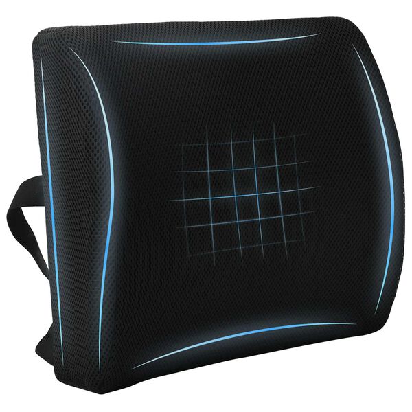 vidaXL Coussin de Dos avec oreiller Noir 35,5 x 30 x 12 cm Avec filet