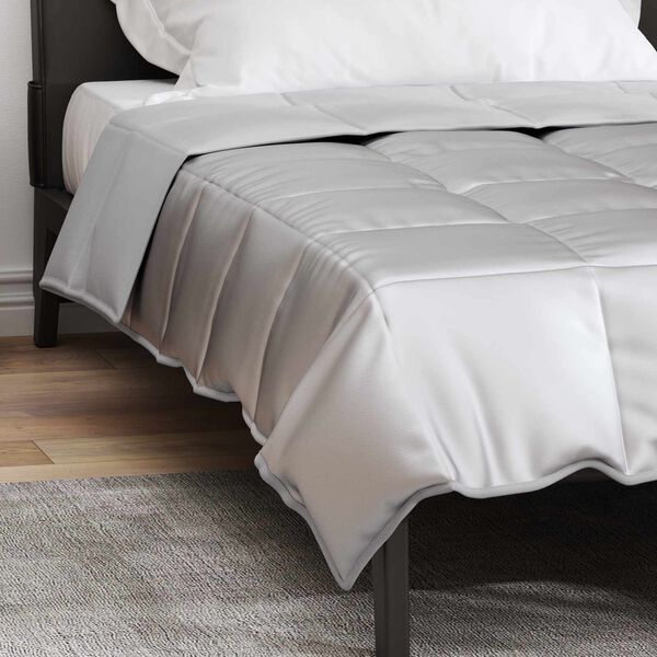 vidaXL Duvet complet toute l'ann&eacute;e Argent&eacute; 220 x 135 cm