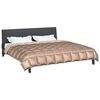 vidaXL Duvet d'hiver Dor&eacute; 220 x 260 cm Satin et Microfibre