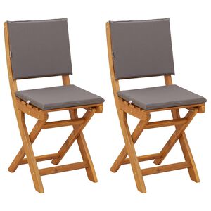 vidaXL Chaises de bistrot d'ext&eacute;rieur 2 pc Gris fonc&eacute;