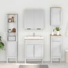 vidaXL Meuble sous Lavabo de Salle de Bain FLORO Blanc 60 x 40 x 80 cm