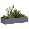 vidaXL Jardini&egrave;re anthracite 200x80x40 cm acier