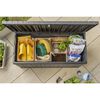 Keter Bo&icirc;te de rangement de jardin Darwin 570 L Gris