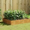 vidaXL Lit sur&eacute;lev&eacute; de jardin 100x100x41 cm acier corten
