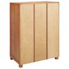 vidaXL Armoire avec stockage avec porte Marron Bois d'ing&eacute;nierie