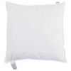 vidaXL Oreiller avec oreiller Blanc 80 x 80 cm Plume
