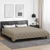 vidaXL Duvet d'hiver Gris clair 220 x 260 cm Microfibre