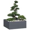 vidaXL Jardini&egrave;re anthracite 100x100x40 cm acier