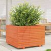 vidaXL Jardini&egrave;re cire marron 70x70x49,5 cm bois de pin massif