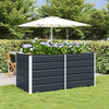 vidaXL Jardini&egrave;re Anthracite 160 x 80 x 75 cm Acier