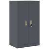 vidaXL Armoire de rangement avec stockage Anthracite 60 x 40 x 105 cm