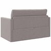 vidaXL Canap&eacute;-Lit 110cm Taupe tissu