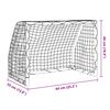 vidaXL Buts de football pour enfants 2 pcs avec ballon blanc métal