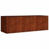 vidaXL Lit sur&eacute;lev&eacute; de jardin 120x40x40 cm acier corten