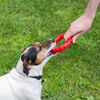 Ferplast Jouet dentaire pour chien Smile Moyen Rouge