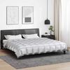 vidaXL Duvet d'hiver Argent&eacute; 200 x 200 cm Satin et Microfibre