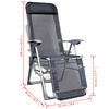 vidaXL Chaises pliables de jardin lot de 2 Aluminium et textil&egrave;ne Gris