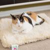 HuggleHounds Tapis pour chiens Polaire XXL Blanc laine