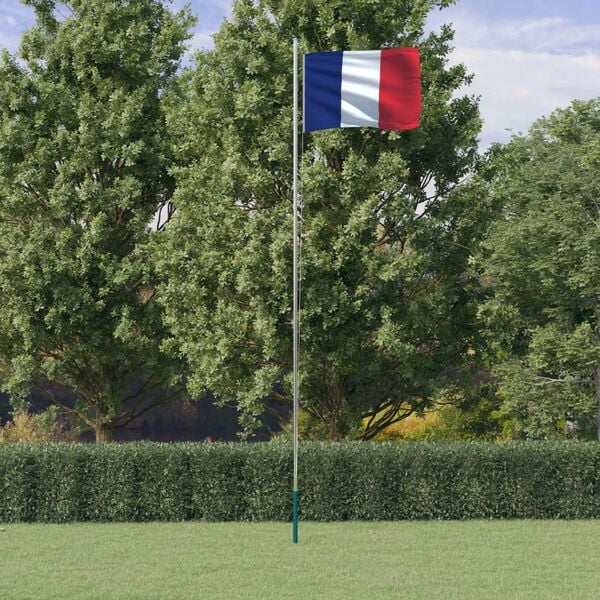 vidaXL Drapeau de la France et m&acirc;t 6,08 m Aluminium