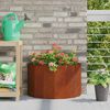 vidaXL Jardini&egrave;re Rouill&eacute; 60 x 30 x 35 cm