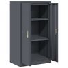 vidaXL Armoire de rangement avec stockage Anthracite 60 x 40 x 105 cm