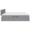 vidaXL Lit avec rangement et LED Gris clair 200 x 200 cm tissu