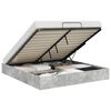 vidaXL Cadre de lit ottoman avec stockage B&eacute;ton 193 x 120 x 25 cm