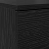 vidaXL Cabinet &agrave; chaussures avec tiroir Ch&ecirc;ne noir 100,5 x 28 x 100 cm