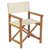 vidaXL Chaises de metteur en sc&egrave;ne pliantes lot de 2 Bois teck massif