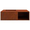 vidaXL Foyer de chemin&eacute;e Marron 100 x 100 x 30 cm Acier patin&eacute;