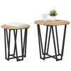 vidaXL Ensemble de tables d'appoint 2 pcs Ch&ecirc;ne artisanal et noir