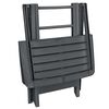 vidaXL Ensemble de bistro pliable 3 pcs Plastique Anthracite