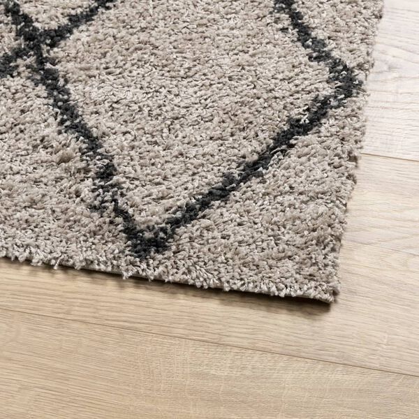 vidaXL Tapis shaggy &agrave; poils longs moderne beige anthracite 120x170 cm