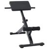 vidaXL Banc d'hyperextension Noir 100,5 x 70 x 78 cm