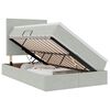 vidaXL Lit avec rangement et matelas Gris clair 120 x 190 cm Velours
