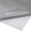 vidaXL Films 4D de voiture 2 pcs Argent&eacute; 100x150 cm+50x150 cm