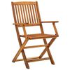 vidaXL Chaises pliables d'ext&eacute;rieur lot de 4 Bois d'acacia solide