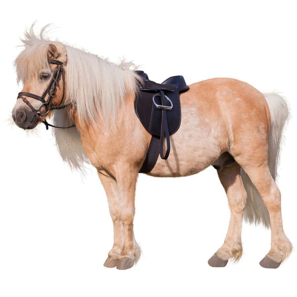 Kerbl Kit de selle Economy Poney 15" 325415