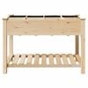 vidaXL Cache-pot de jardin avec &eacute;tag&egrave;re Beige 115 x 59 x 76,5 cm