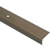 vidaXL Nez de marche 10 pcs Marron 67 x 3 x 2 cm Aluminium