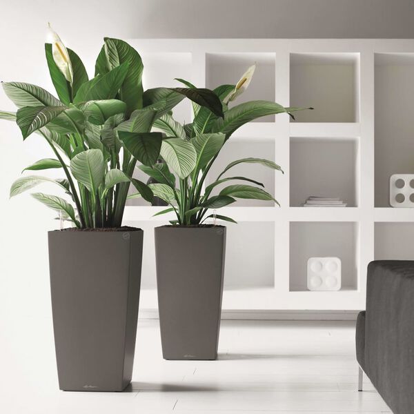 LECHUZA Jardinière Cubico 30 ALL-IN-ONE Charbon 18184